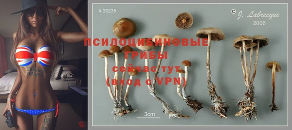 тгк Алексин